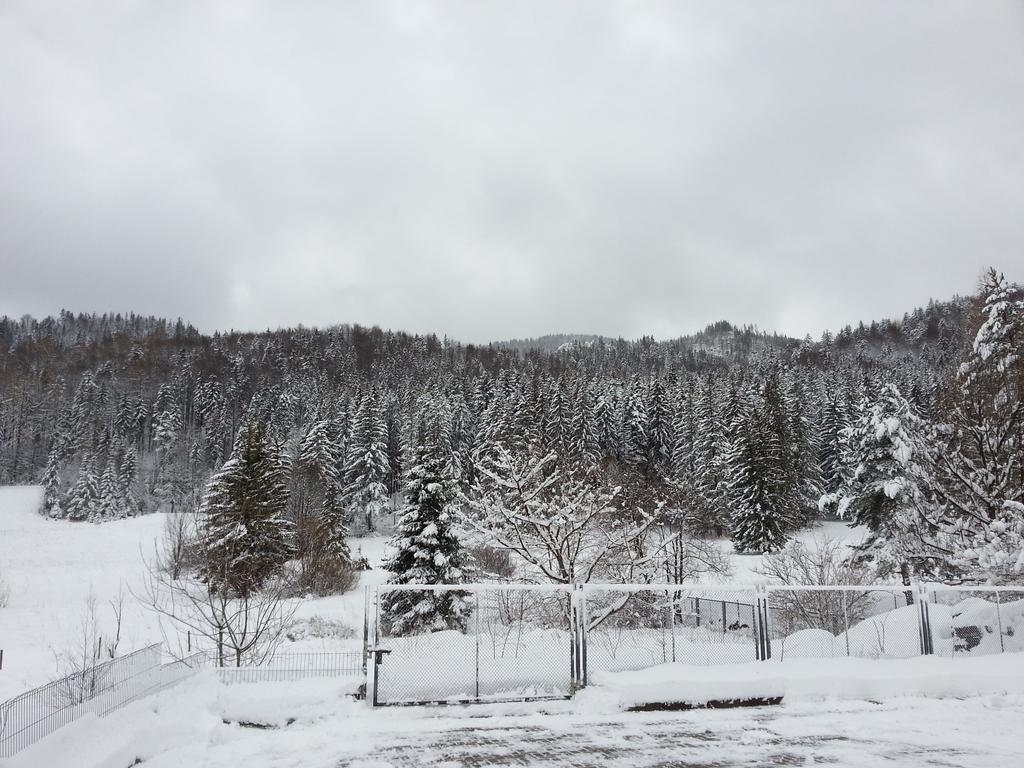 Akra Apartment Закопане Екстериор снимка
