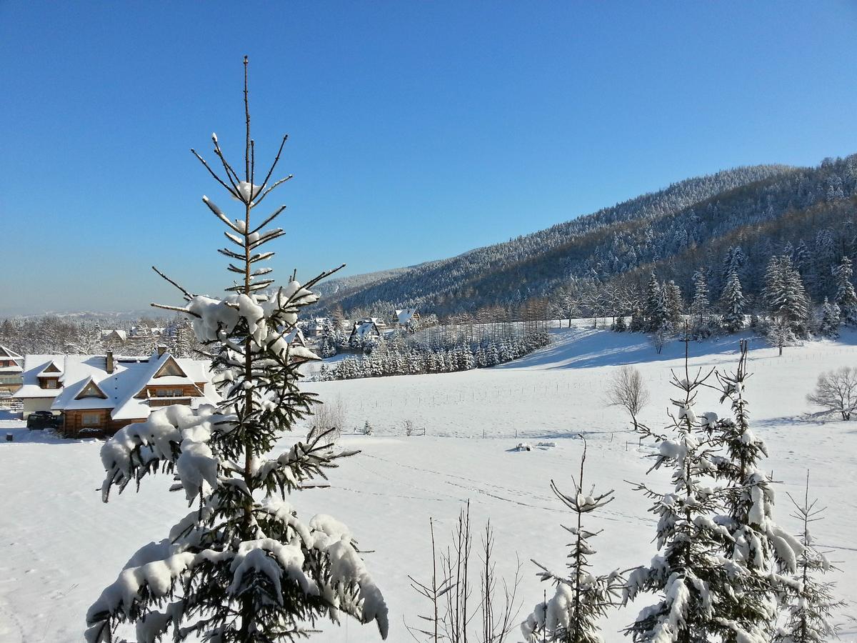 Akra Apartment Закопане Екстериор снимка